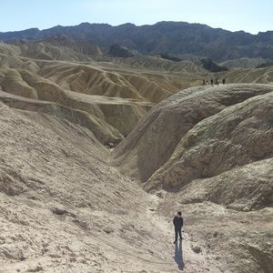 Meet your Posher, Lee